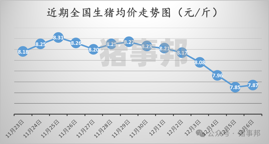 12月6日猪价汇总（北方反弹，南方稍弱！）